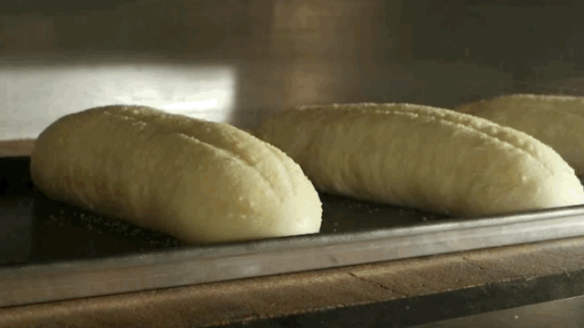 Hakkımızda